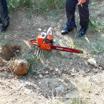 乐民牌断根移苗机 铲式起树机 手提式苗木断根机 苗圃挖树机