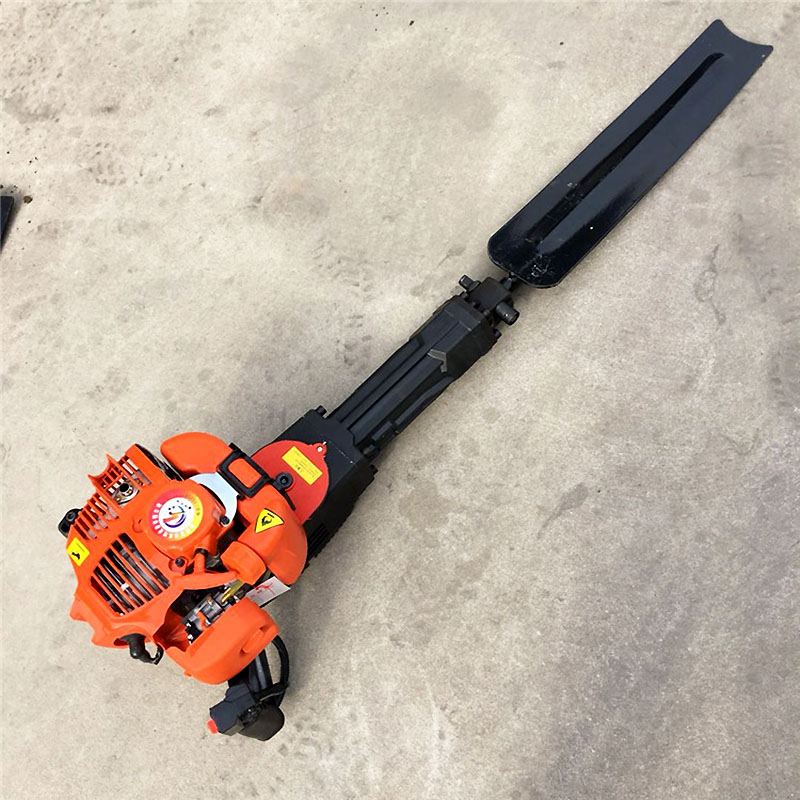 Summer beach concept