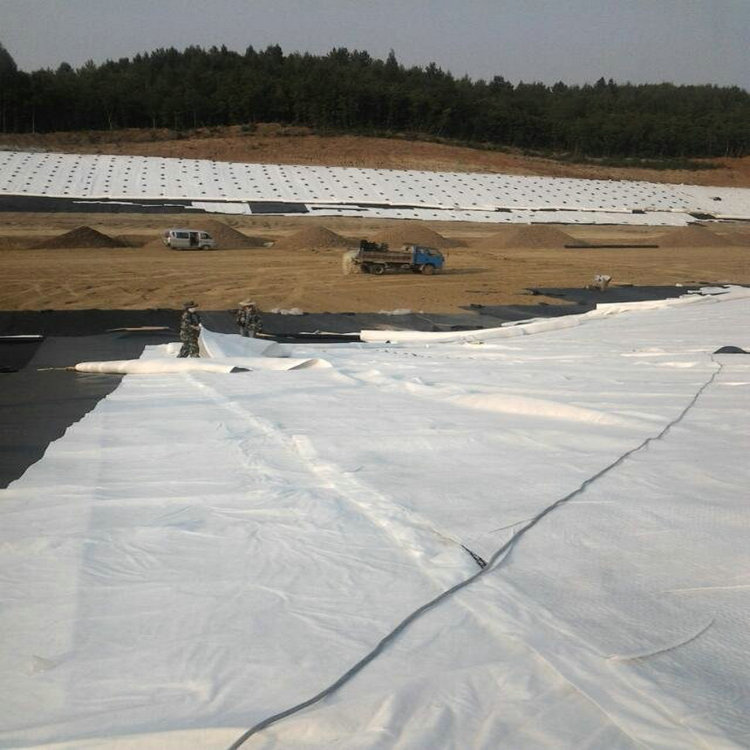 成都复合土工膜 油罐基础防渗膜 钠基膨润土防水毯。