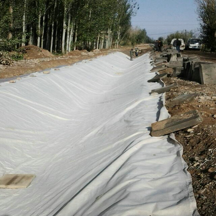 渗滤液调节池衬垫防渗2mm防渗膜精选厂家