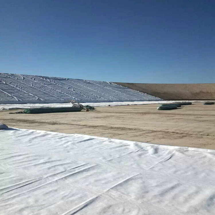建筑工程类防渗2mm土工膜源头生产厂