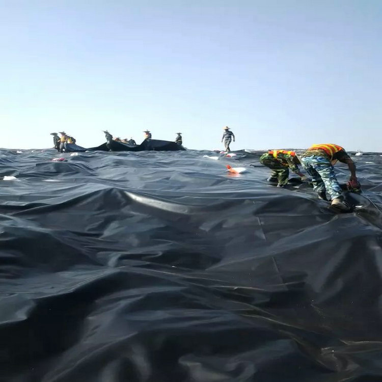 防水土工布防渗膜 人工湖防渗膜 防渗膜锦鲤池