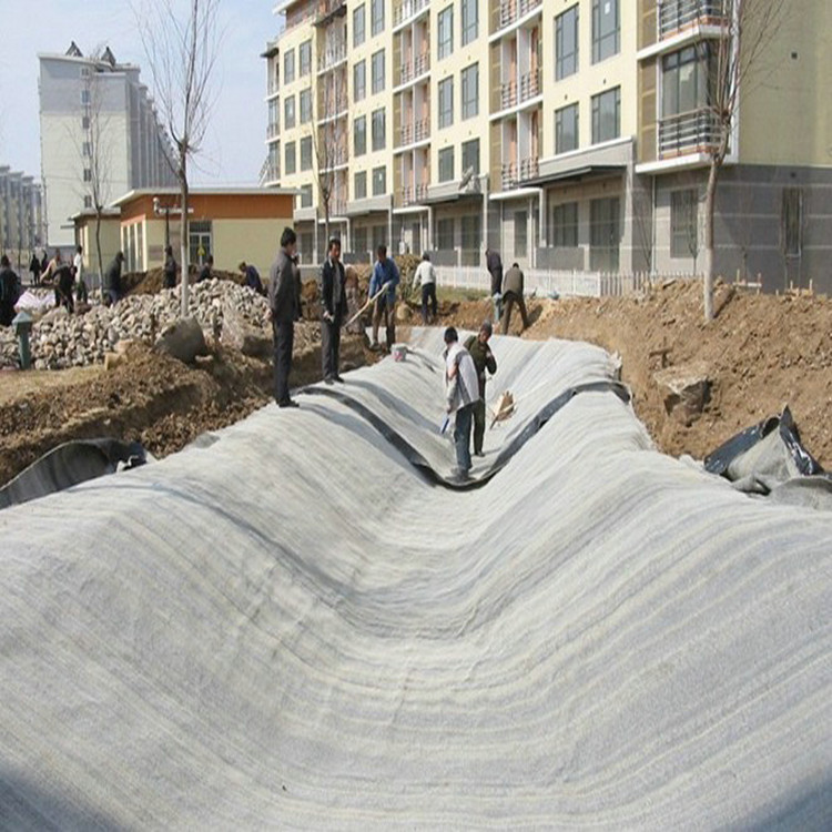 建筑工程类防渗2mm土工膜源头生产厂