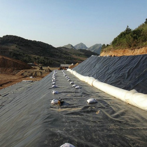 防渗膜无土养殖黄鳝货源充足