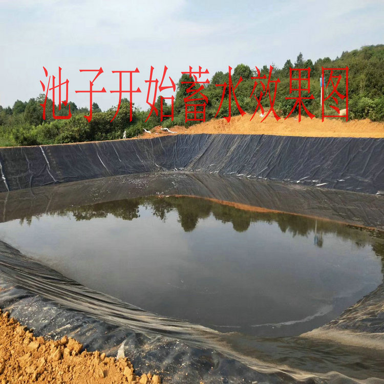 建筑防渗用2mmHDPE土工膜防潮生产厂家