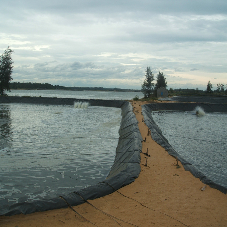 黑膜沼气池HDPE土工膜1.0mm全新料覆盖膜1.5mm