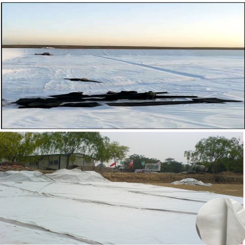 环保填埋防渗膜货源充足