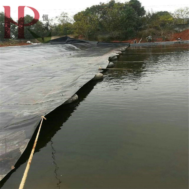 人工湖土工膜恒瑞供应精选厂家
