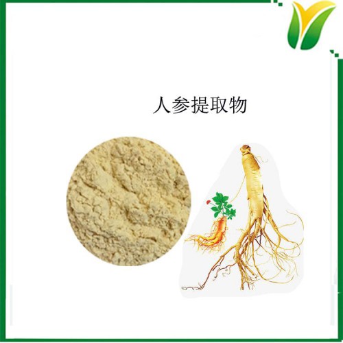 人参提取物 人参皂苷 人参皂苷单体含量50% 人参皂苷粉