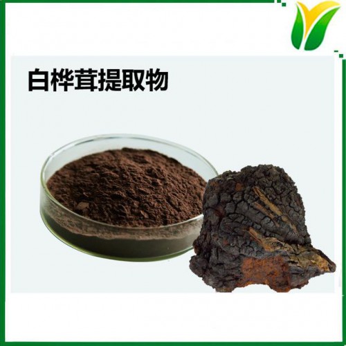 白桦茸提取物 白桦茸多糖80% 桦褐孔菌提取物