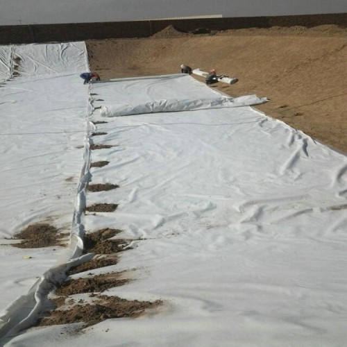 五指山抗穿刺双光面HDPE土工膜 0.8mmHDPE防渗膜精选厂家