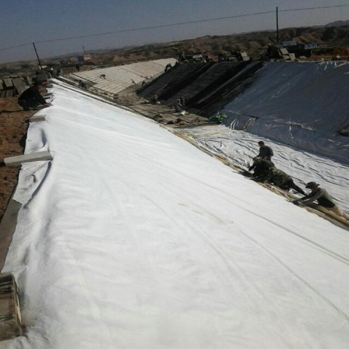 2.0mm飞灰填埋场HDPE防渗膜 黑膜沼气池覆盖膜 莲藕防渗膜水混养技术