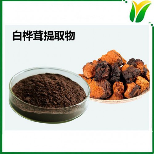 白桦茸提取物 白桦茸多糖60% 桦褐孔菌提取物