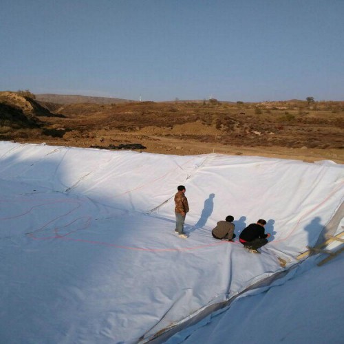 沉淀池防渗用1.0mm防渗膜厂家批发价