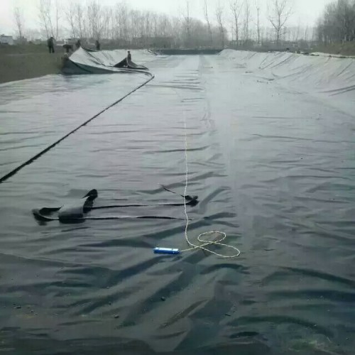 雪莲种植防渗膜厂家批发