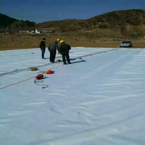 莲藕池防渗用1.0mmHDPE防渗膜可量尺定做