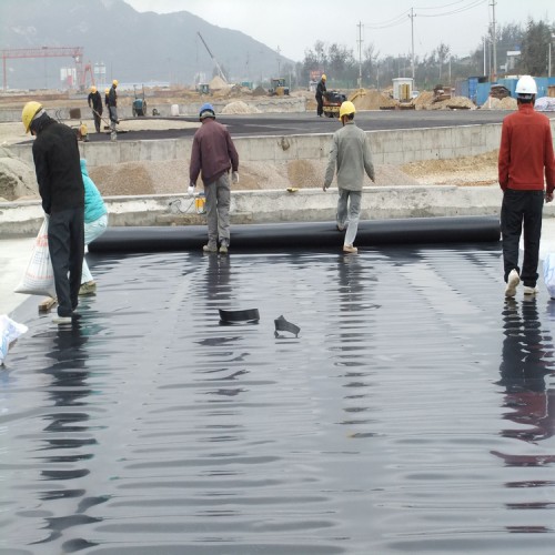 鱼塘专用防渗膜生产厂家