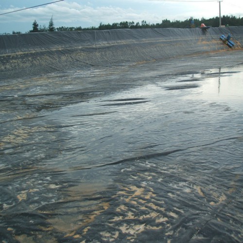 垃圾填埋场新型HDPE防渗膜覆盖层材料 0.75mm防渗膜可量尺定做