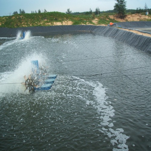 复合防渗膜 0.6mm防渗膜优质商品