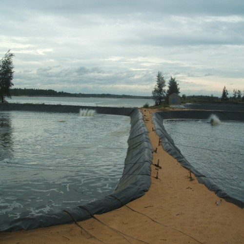 邯郸抗穿刺双糙面HDPE防渗膜 hdpe防渗膜是做什么的 0.4mm海水养殖膜多少钱