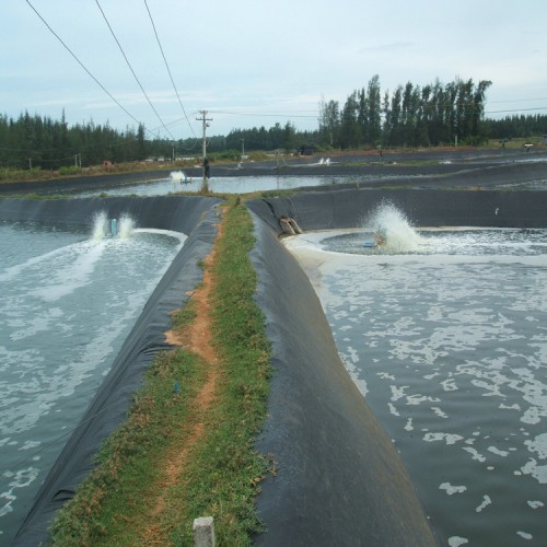 调节池土工膜 0.25mmHDPE防渗膜性能稳定