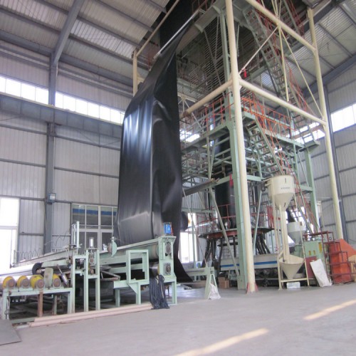 工厂防渗膜 0.75mm土工膜精选厂家