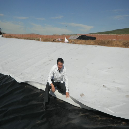 炼油厂油罐防渗用1.2mmHDPE土工膜可量尺定做