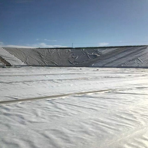 建筑防渗用1.2mm防渗膜防潮 1.4mmHDPE土工膜厂家自产自销