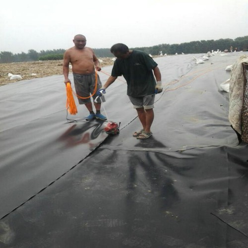 防渗膜养殖黄鳝 1.8mm防渗膜货源充足