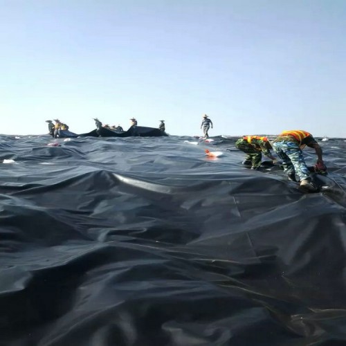 永宁储油罐土工膜 填埋场土工膜精选厂家