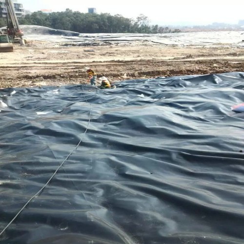 hdpe防渗膜价格 复合土工膜填埋场土工膜
