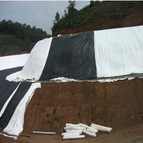 防渗膜防水生产厂家