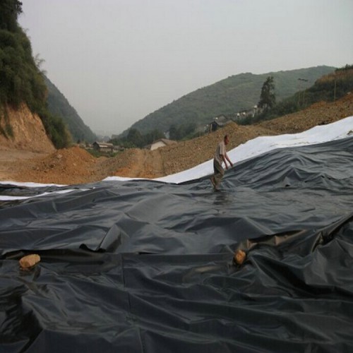 嘉峪关复合土工膜 hdpe防渗膜哪个厂家 固体废弃物防渗膜