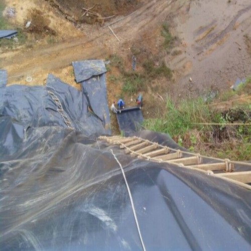 水库复合土工膜价格 1.0mm防渗膜产品批发价