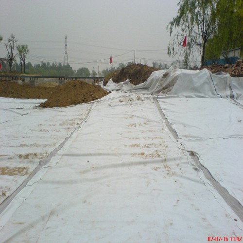 蓄水池防渗1.5mm土工膜 0.30mmHDPE土工膜生产厂家