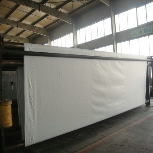 GG60-60土工格栅货源充足