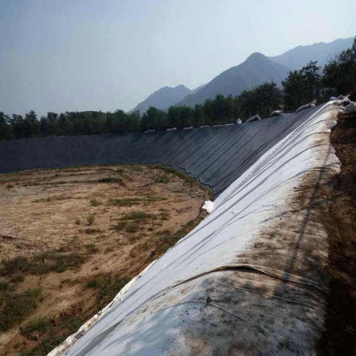 养鱼防渗膜能用几年 0.25mmHDPE土工膜商品批发价