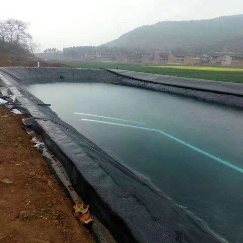 填埋场渗滤液调节池HDPE防渗膜用途源头生产厂