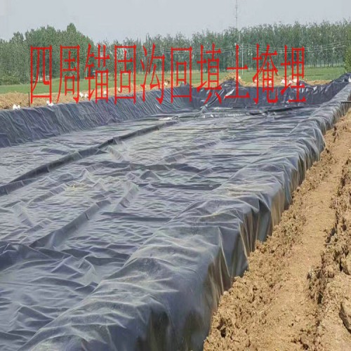 1.0mm厚度垃圾封场专用HDPE土工膜