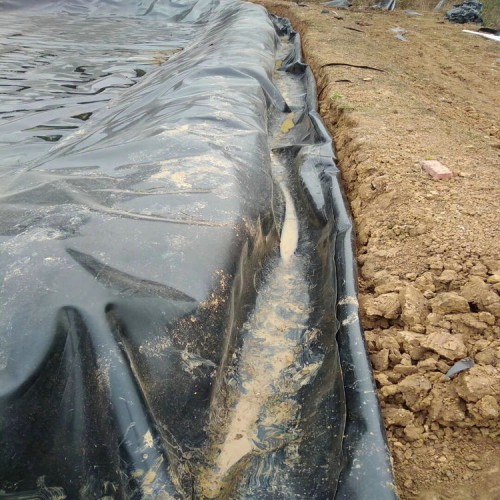 塑料土工格栅可量尺定做