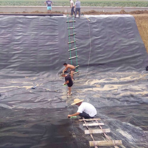 养猪场沼气池,黑膜沼气池HDPE土工膜1.5mm