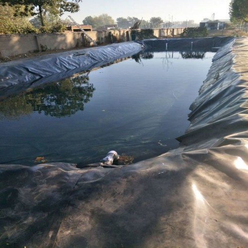 古浪养牛场2mm沼液池土工膜 防渗防腐土工膜产品批发价