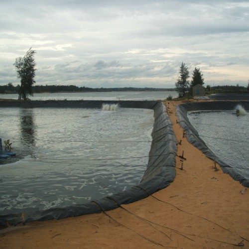 垃圾卫生填埋场渗沥液处理HDPE防渗膜 0.9mm防渗膜性能稳定