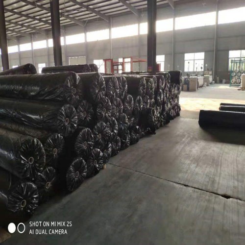 养鸡场沼气池土工膜