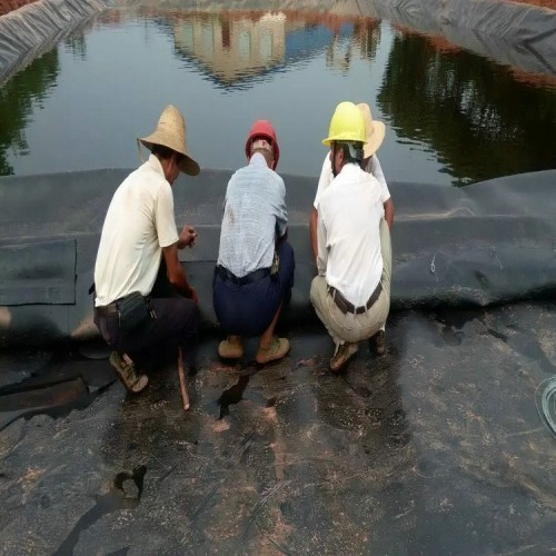 GG80-80土工格栅厂家自产自销