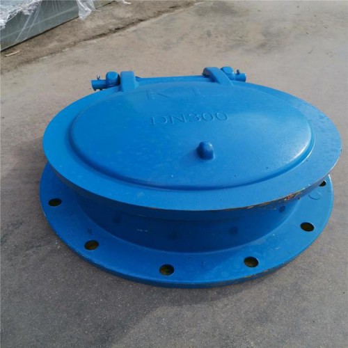 不锈钢拍门 浮箱拍门 钢制方拍门