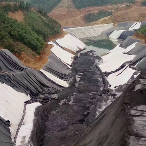 垃圾场土工膜供应