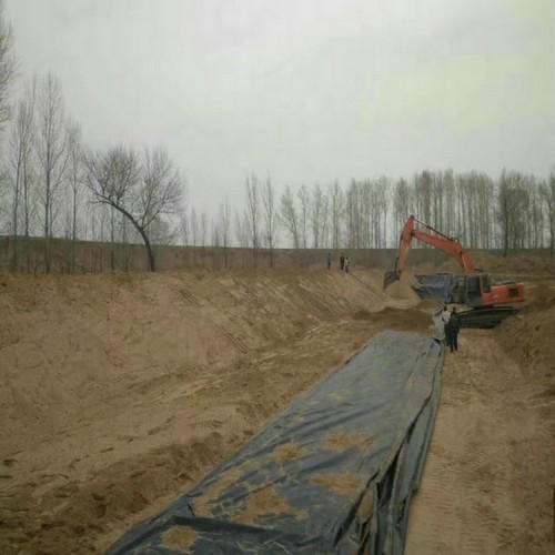 尾矿坝渣场防渗2mm土工膜源头生产厂