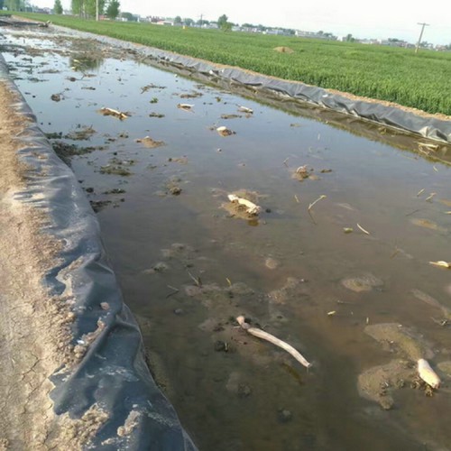 垃圾填埋场HDPE防渗膜产品批发价