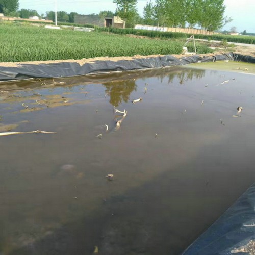 洪洞1.0mm土工膜 0.75mm土工膜商品批发价